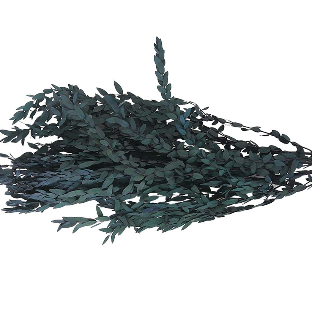 Buy Dorakitten 1 Bunch Stem Real Flower Stem Vase Stem Dried Dried Branch Dried Branches for