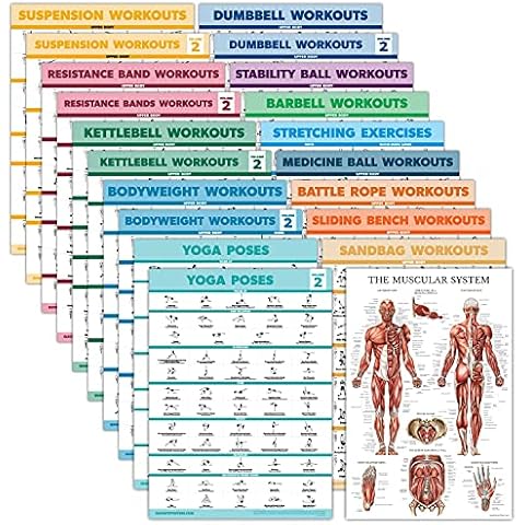 Palace Learning 20 Pack - Exercise Poster Set: Dumbbell, Suspension, Battle Rope, Stretching, Bodyweight, Barbell, Yoga, Exercise Ball - (LAMINATED, 18” x 24”) Cover