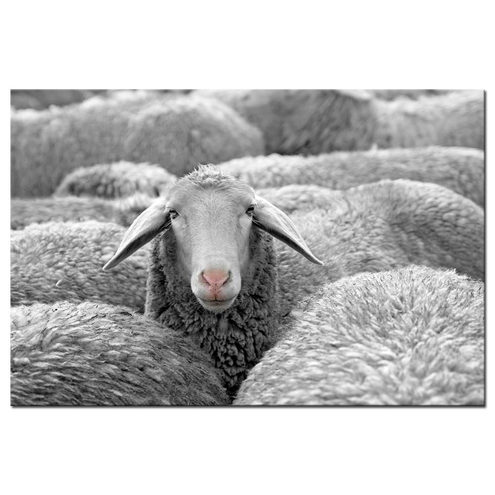Biuteawal - Black and White Animal Wall Art Painting Cute Sheep in Farmhouse Picture Print on Canvas Modern Giclee Artwork for Home Living Room Bedroom Decoration Stretched and Framed Ready to Hang