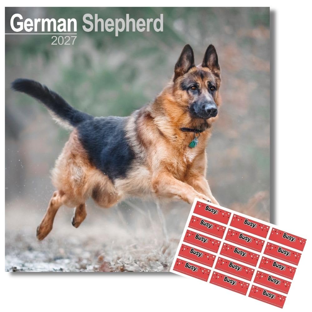 Avonside German Shepherd 2027 Square Calendar with Organisational Stickers