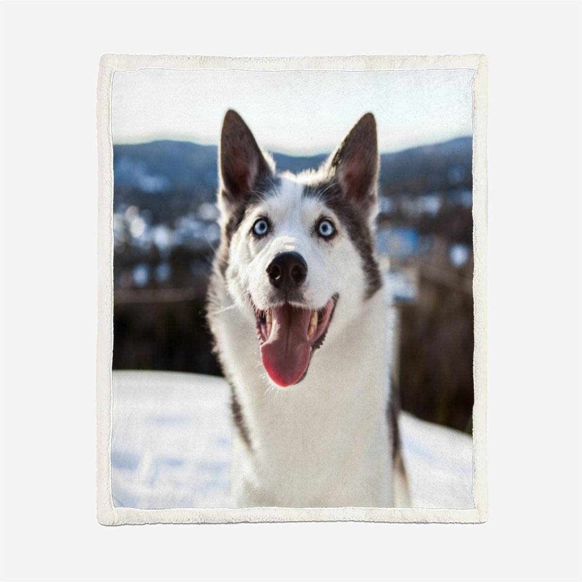 Plaid Couverture Polaire Chien Husky 3D Hiver, Chiens De Traîneau Douce Chaude Microfibre ete Hiver Couverture en Flanelle 150x200 pour Jeté de Canapé, Dessus de lit pour Enfant Fille Garcon