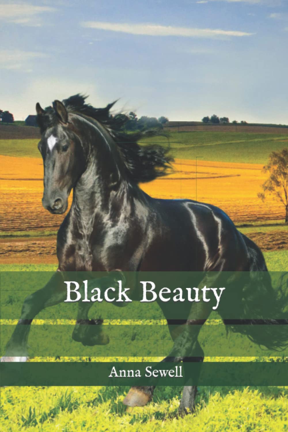 Black Beauty