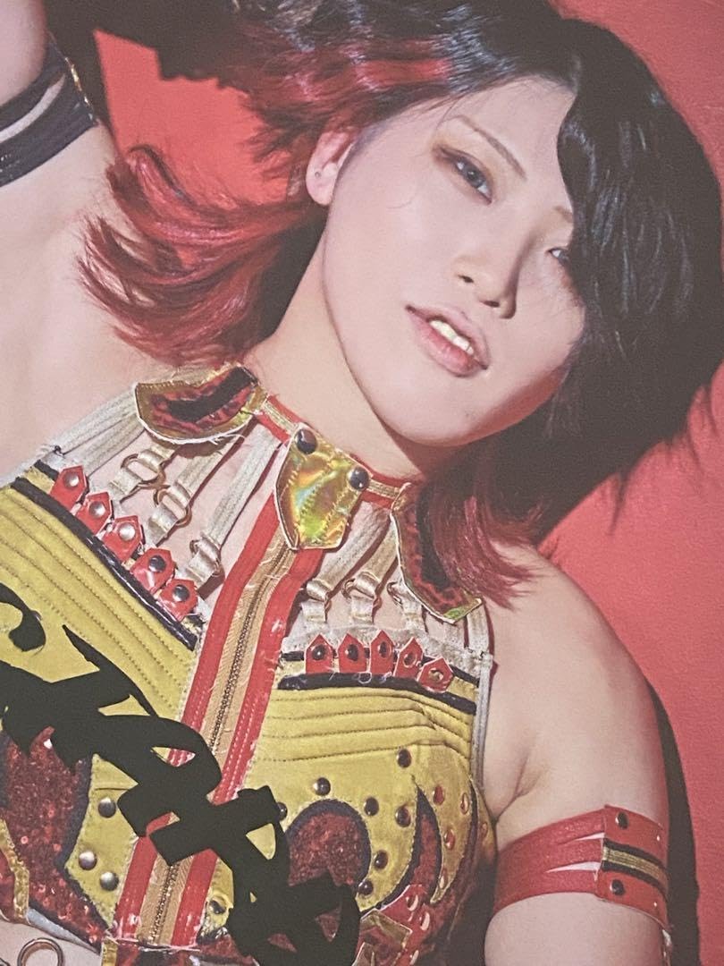 林下詩美 ポートレート 6枚 Yahoo!オークション -「林下詩美」(サイン) (格闘技、プロレス