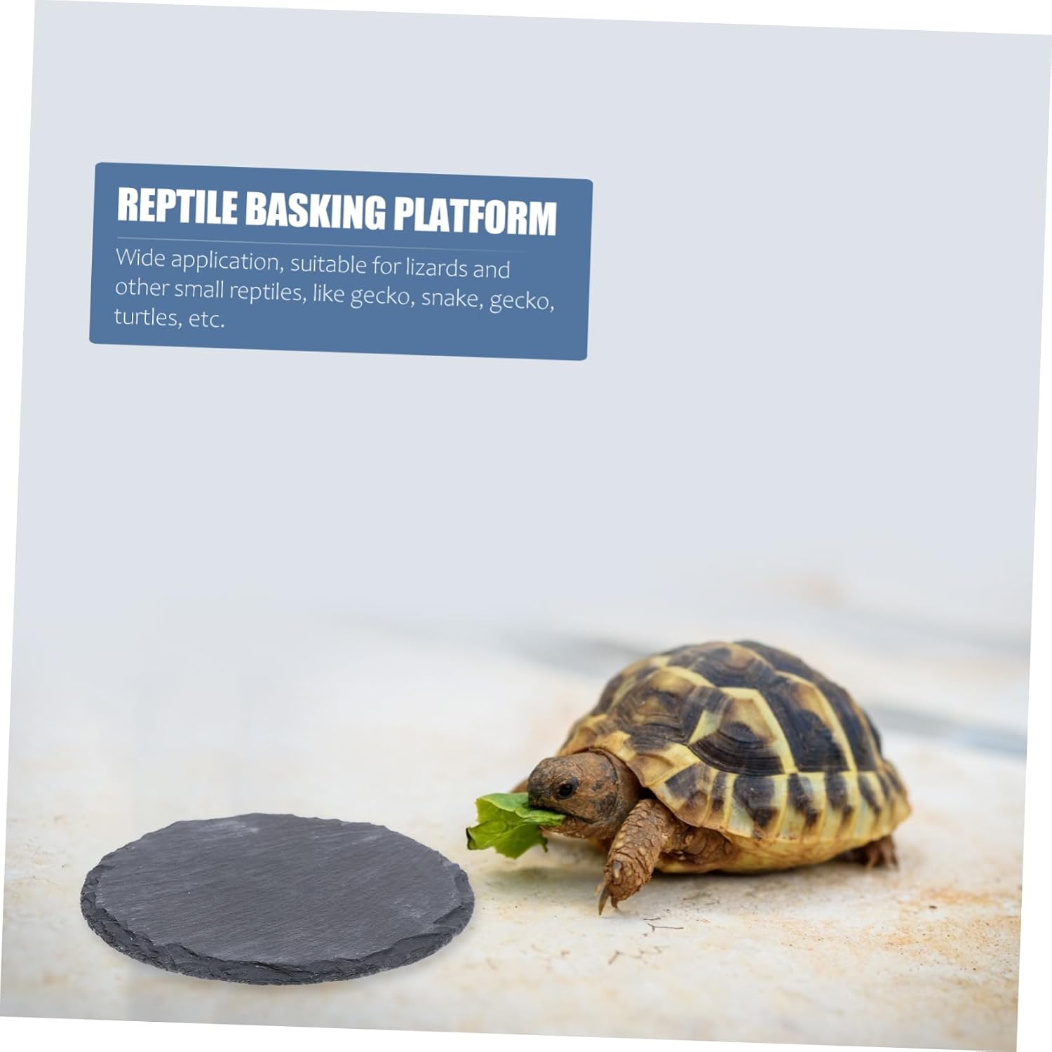2pcs Reptile Basking Platform for Turtles Stone Dish Small Reptiles