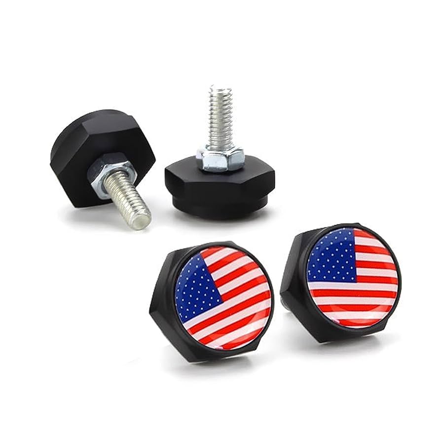 ナンバープレート　アメリカ　ミシシッピ州　穴空き アメリカバイクナンバープレートの通販 by Botamoti's shop｜ラクマ