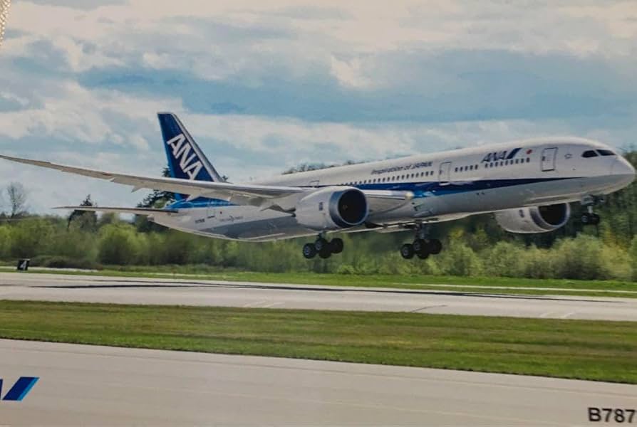 Amazon.co.jp: ANA航空機 絵葉書 機内プレゼント ハガキ