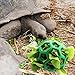 LODCZIOE Schildkröte Leckerli-Ball Spielzeug, Heu Feeder Ball, Fütterung Grasball, Obst Gemüse Futterspender Halter Futtersuche Spielzeug für Kleintiere Haustier