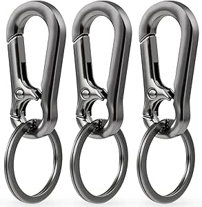 LABUYI 3Pcs Moschettoni Portachiavi,Moschettoni Portachiavi In Metallo,Moschettone Rimovibile,Portachiavi In Acciaio Inossidabile Resistente,Per Auto Chiave,Zaino,Viaggiare,Campeggio,Grigio-Nero : Amazon.it: Moda