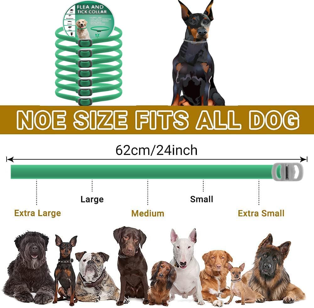 2 Pack Adjustable Dog Collars, Durable Waterproof Collar for Small Medium & Large Dogs - Image 4