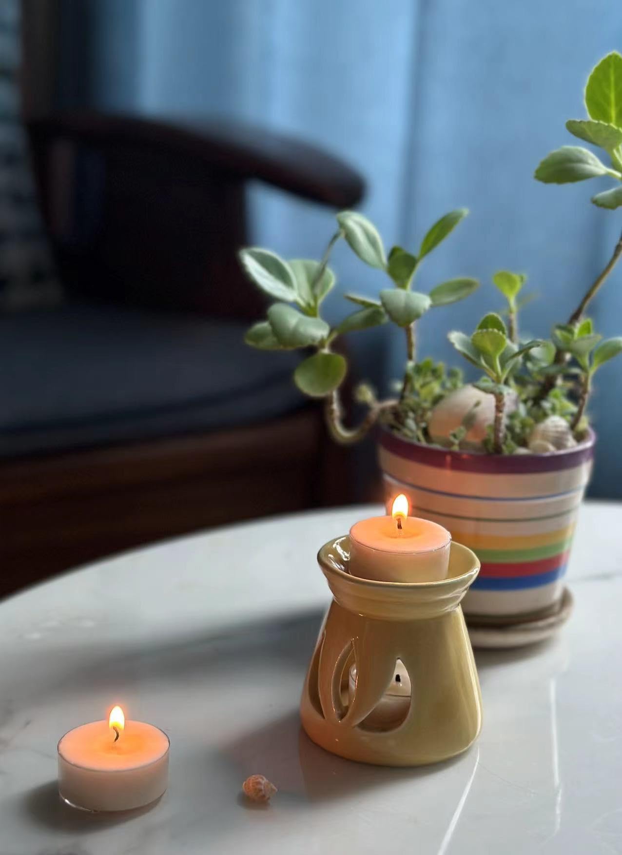 Soja-Teelichter, Duft mit transparenter Tasse, 60 Stück, sortiert, luxuriöses Aromatherapie-Sammeln, Lavendel/Rose/Jasmin-Tee/Vanille/Basilikumorange/Apfel, angenehmer Geruch für Heimdekoration,