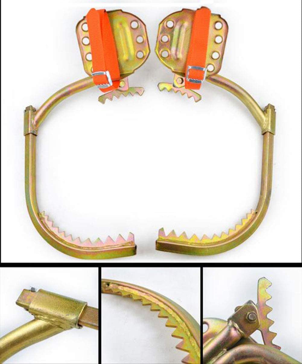 Generic Juego de estacas para trepar árboles, observación de caza, equipo de recolección de frutas, artefacto para trepar árboles, picos de escalada de árboles y accesorios de trabajo