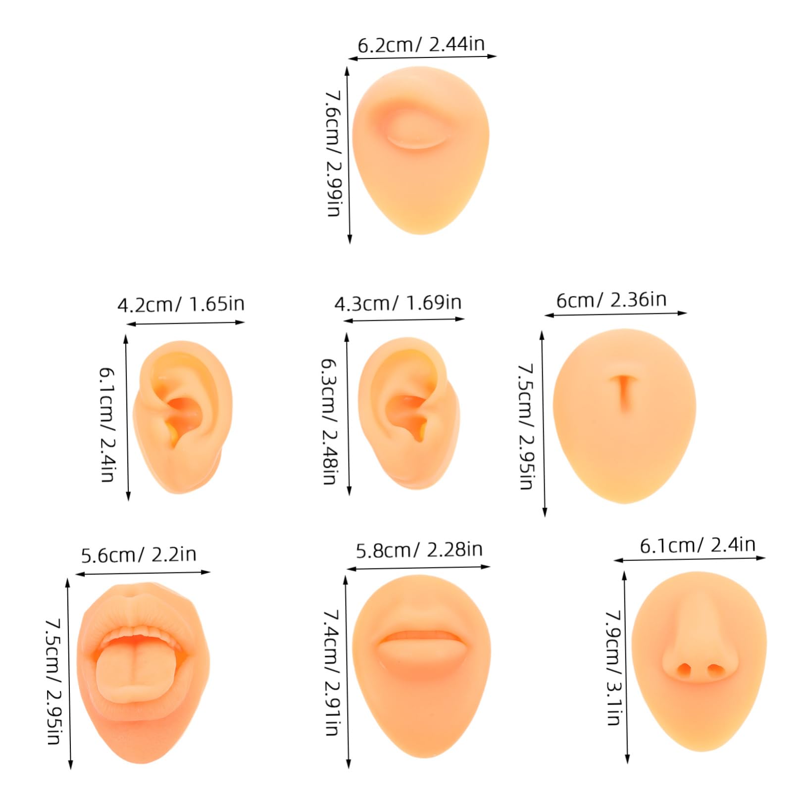 SECFOU 1set Modelli Facciali Silicone Per Piercing Comprende Orecchie Naso Bocca e Lingua Modelli Flessibili Per Pratica e Insegnamento Strumenti Di Alta Versatilità e Facili Da Pulire
