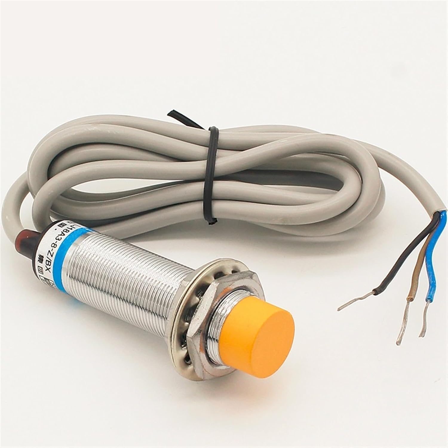 金子ひろし、胎、希少な画集より、新品高級額・額装付、状態良好 金子ひろし、胎、希少な画集より、新品高級額・額装付、状態良好