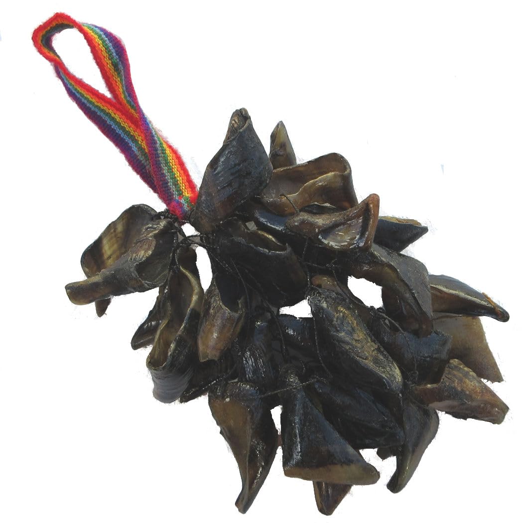 Sound King チャフチャス Sound King チャフチャス Sound King チャフチャス Sound King