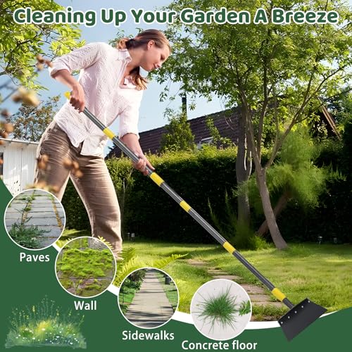 Grattoir de sol robuste Lilyvane pour soigner sa bordure de pelouse - 7