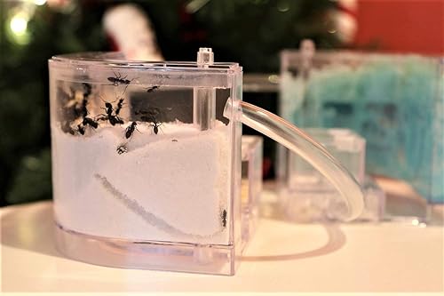 Miniatura 2 de NAVAdeal Granja de hormigas de arena con tubos de conexión, kit educativo y de aprendizaje de hábitat para niños y adultos, permite el estudio del