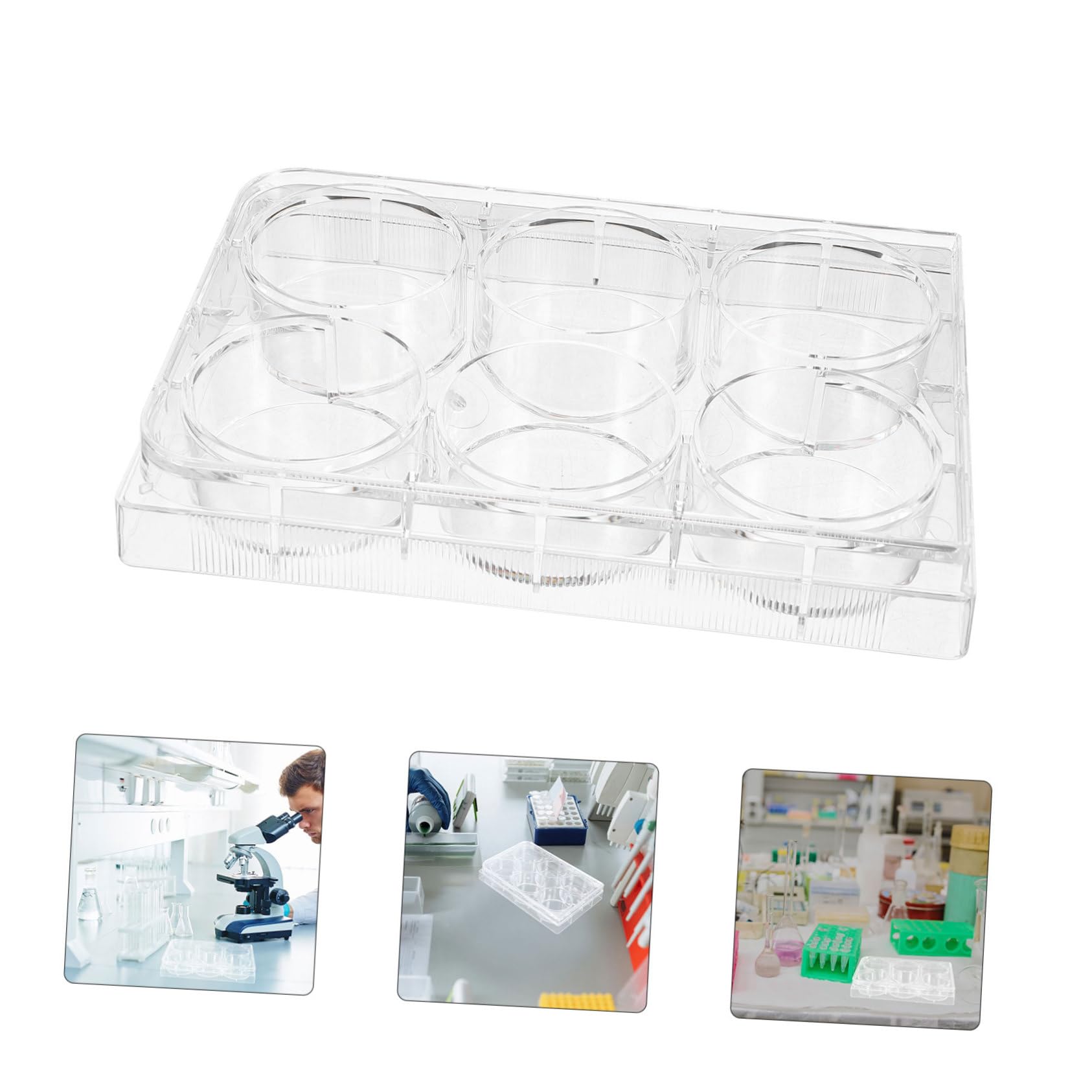 Ipetboom Laboratory Cell Culture Plate mit Deckel Einweg Gewebekulturplatte aus Robustem Material Anzuchtplatte für Präzise Zellkulturen im Laborgebrauch