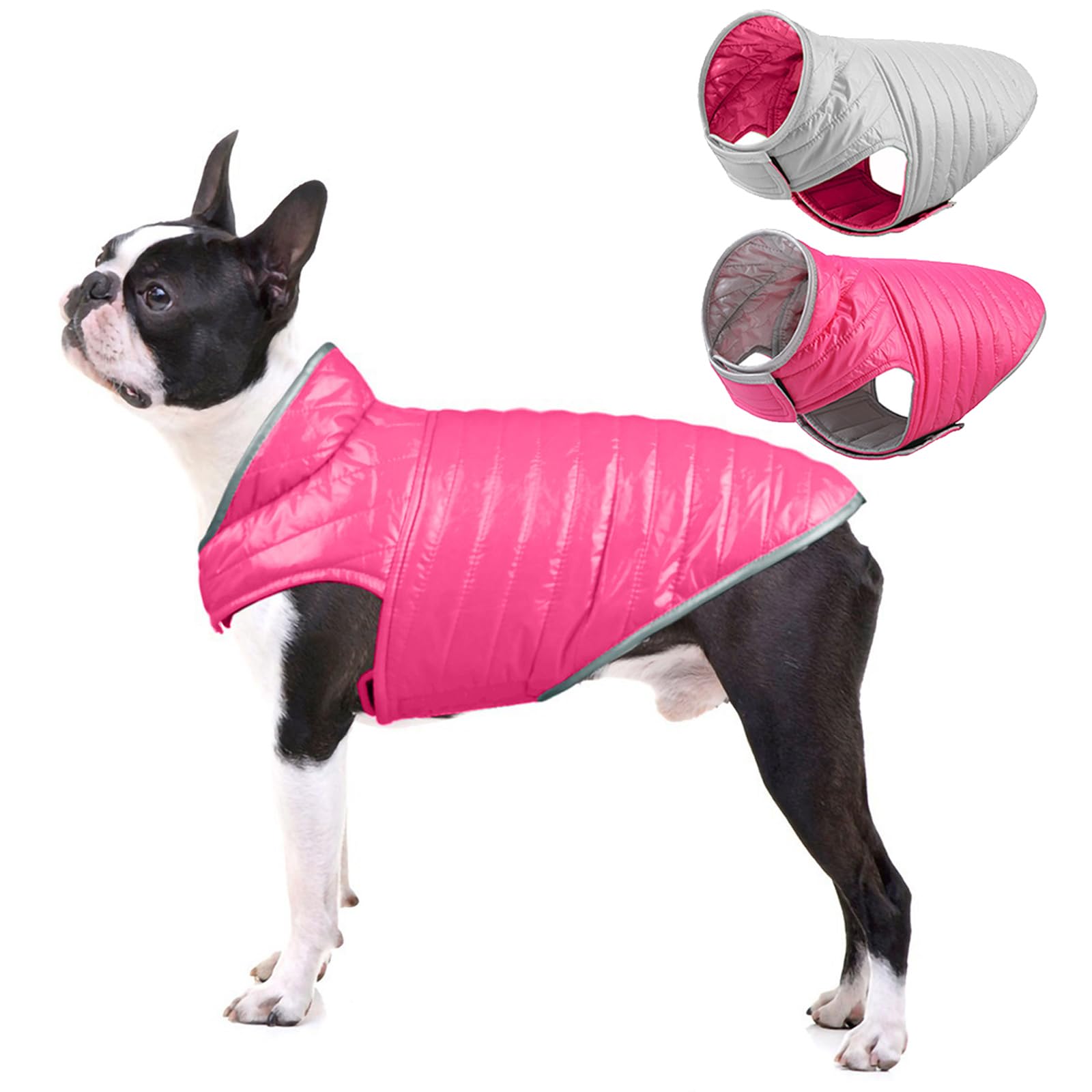 Amazon | Tinsin 犬服 ペット防寒着 秋冬綿服 冬用綿服 犬 コート 小型