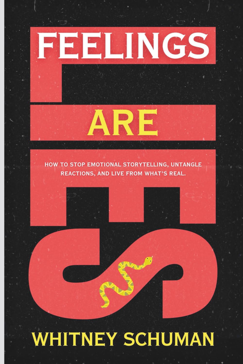 Feelings Are Lies: How to Stop Emotional Storytelling, Untangle Reactions, and Live from What’s Real.