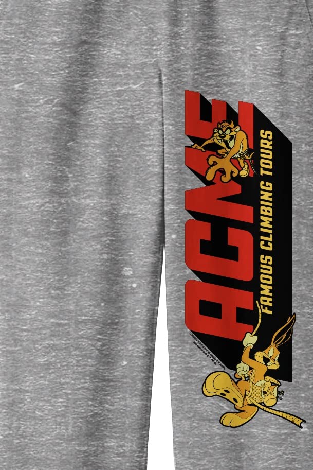 Bioworld Looney Tunes Taz and Bugs Bunny Acme Famous Climbing Tours Youth Heather Gray Graphic Joggers2