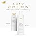 Dove Shampoo Argan Oil & Repair for Fine Hair with Bio-Protein Care Technology and Argan Oil Blend 12 Fl Oz