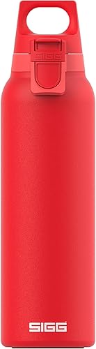 SIGG - Frasco aislado - Thermo Hot & Cold ONE Light - Filtro de fruta- Sin BPA - Acero inoxidable - 19 Oz