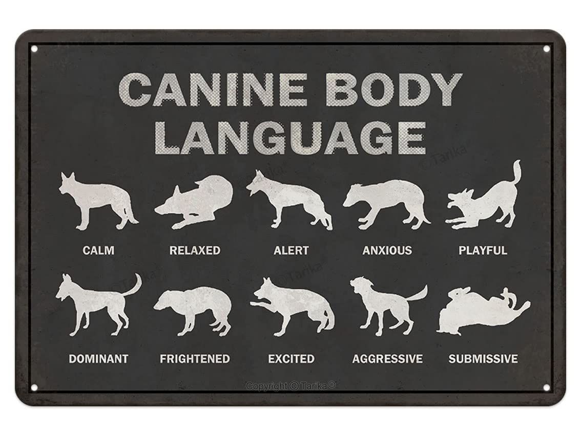 Canine Body Language Funny Novelty Metal Sign Retro Wall Decor for Home Gate Garden Bar Restaurant Cafe Office Store Pub Club Vintage Art Poster Tin Sign Gift Plaque 8x12Inches