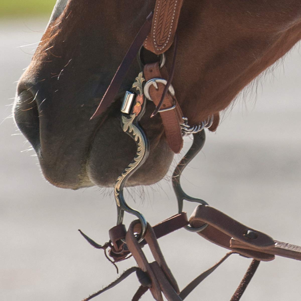 Classic Equine Floral Scroll Tool Box Cavalry Shank Bit with Square Hinge Port (TBBIT38CS70)