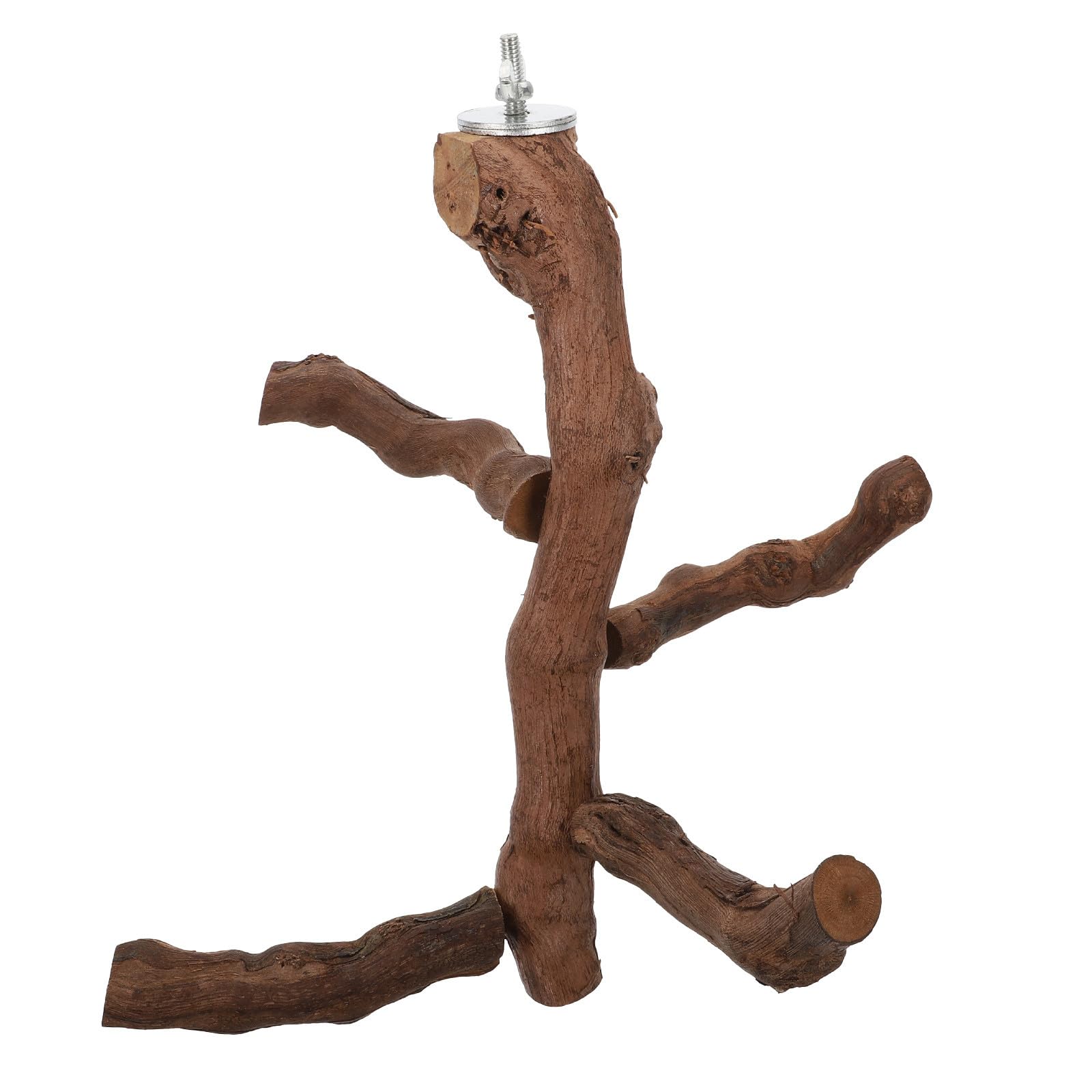 Perchoir à oiseaux en bois naturel VALICLUD, branche de vigne marron pour cage de perroquet