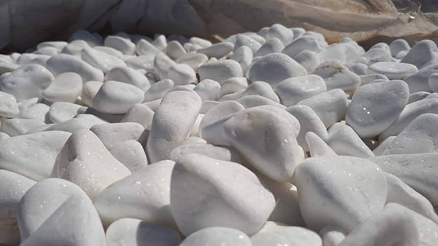 White Pebbles Small Snow White Stones Natural Garden Stones Decorative