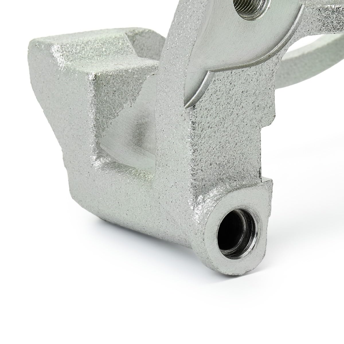RIDEX 1009C0035 Supporto Pinza freno Compatibilità con TOYOTA COROLLA ZZE12, NDE12, ZDE12