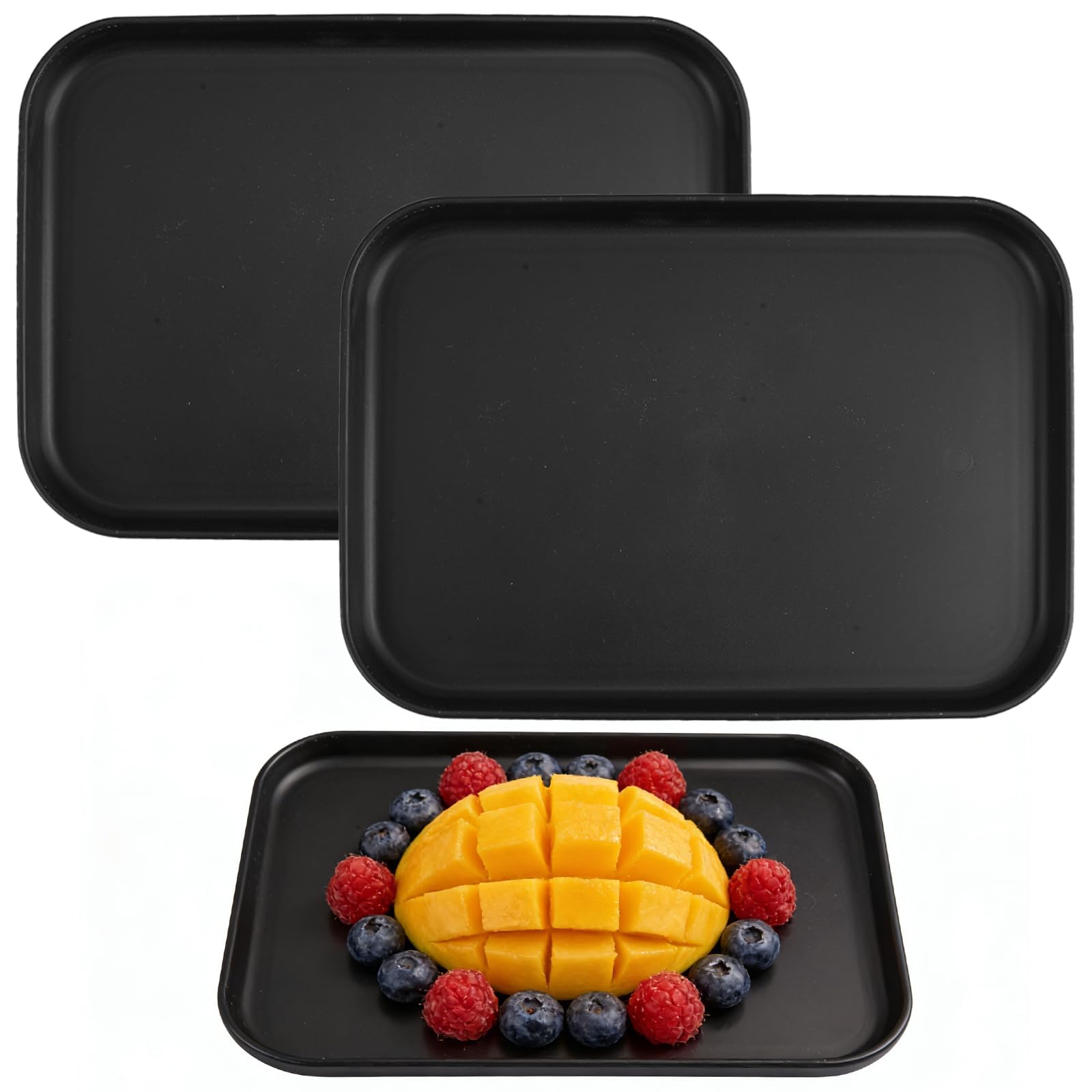 2 Pieces Fast Food Breakfast Trays, 17x24x1.7cm Black Gastro Tray for Home
