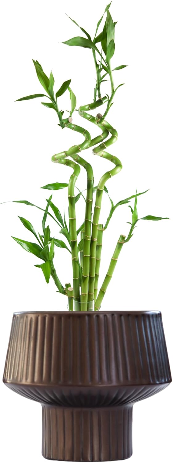 Wide Top Modern Handmade Metal Indoor Planter with Unique Shape, Vertical Grooved Design and Anti-Scratch Pads, Rust-Resistant Finish that is Sustainable Non-Plastic Pot Recyclable Metal Vase (Copper)