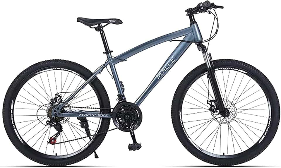 26 pouces Vélo de montagne, 21-30 vitesses jeunes femmes adultes vélos de route cadre en acier léger Double frein à disque,Argent,21 speed
