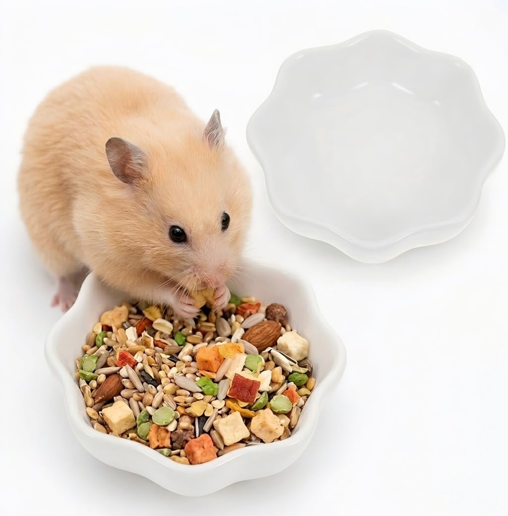 SUPVOX 2 Pack Ceramic Hamster Bowls Wear-Resistant Feeding Bowls for Food and Water Non-Tip Small Animal Dishes for Hamsters Chinchillas Guinea Pigs 2.76 in