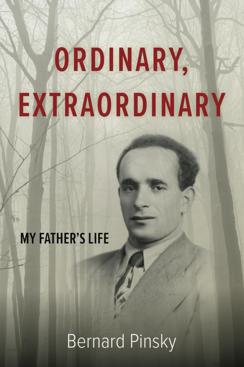 Ordinary, Extraordinary: My Father's Life