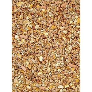No Grow No Waste 15kg Premium Wild Bird Food