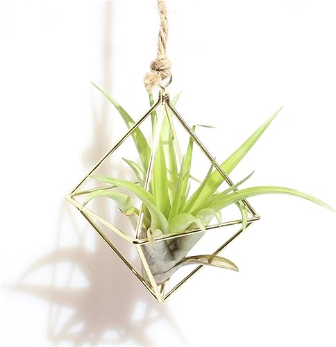Macetas colgantes independientes con columpio geométrico de hierro forjado Tillandsia Soporte para plantas de aire con forma triangular Estante de