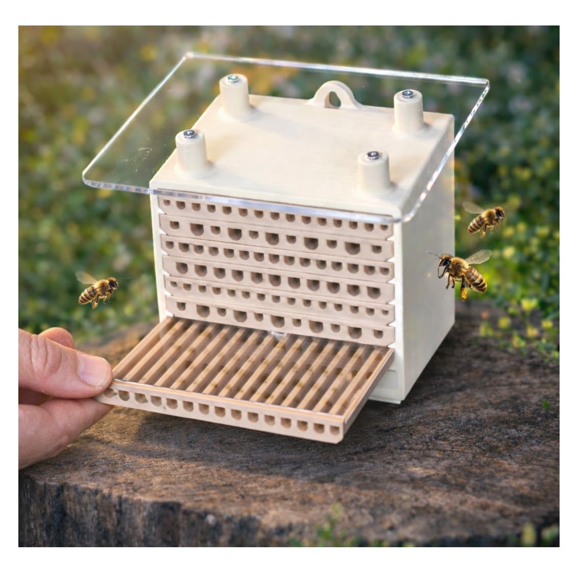 Wildbienen Nistkasten PRO mit Beobachtungs-Nest | Bienenhotel Wetterfest für Bienen