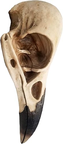 Miniatura 6 de DWK The Enigmatic Corvus: decoración de pared gótica de calavera de cuervo de pájaro de profecía, misteriosa estatua colgante para un ambiente