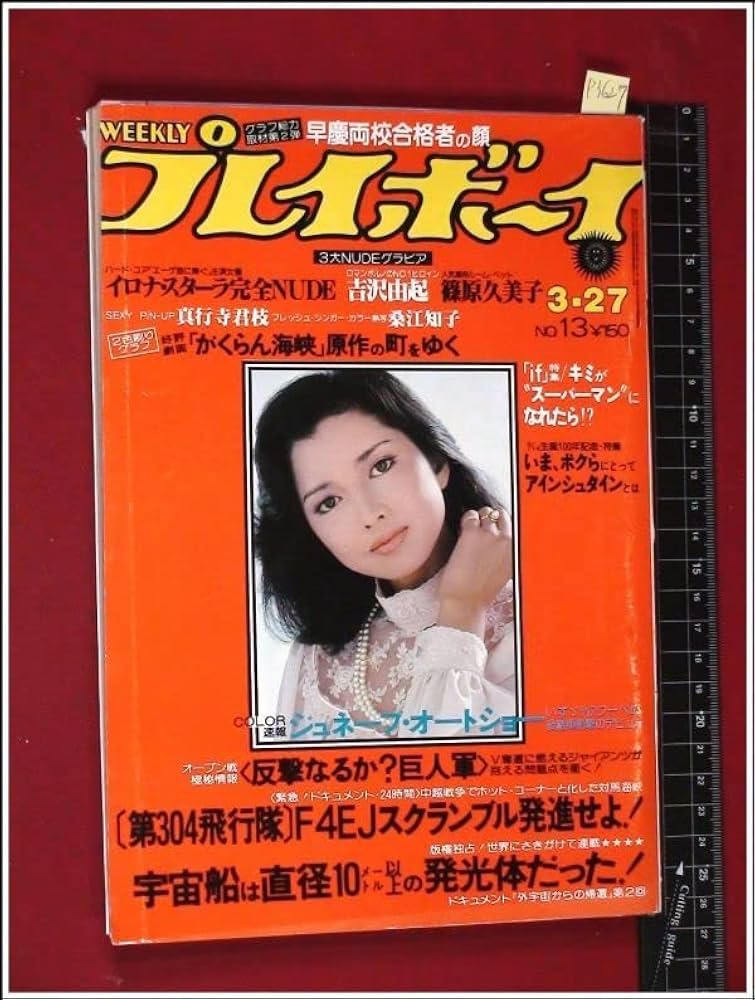 プレイボーイまとめ売り 週刊プレイボーイ (13・14号) | 集英社 |本 | 通販 | Amazon