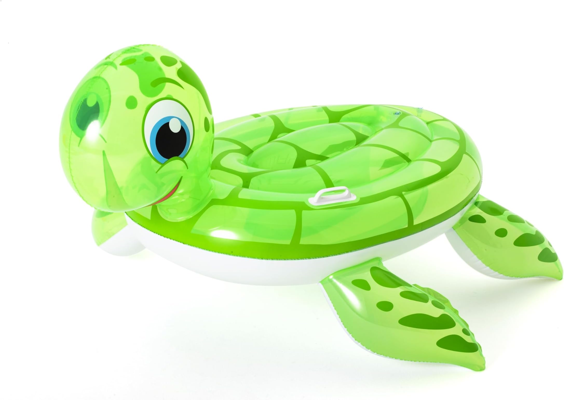 Sea Turtle