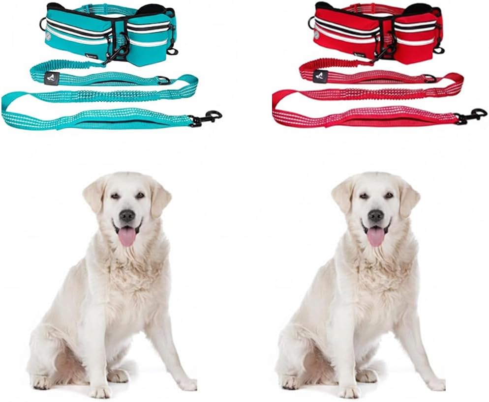 Dog Leash Bundle for Large Dogs (Waist 26”-48”, Leash 1”x5ft) | Premium Waist Belt Walking, Running & Hiking | Bungee Dual Handles | Adjustable Fit | Reflective Safety Design Red & Turquoise