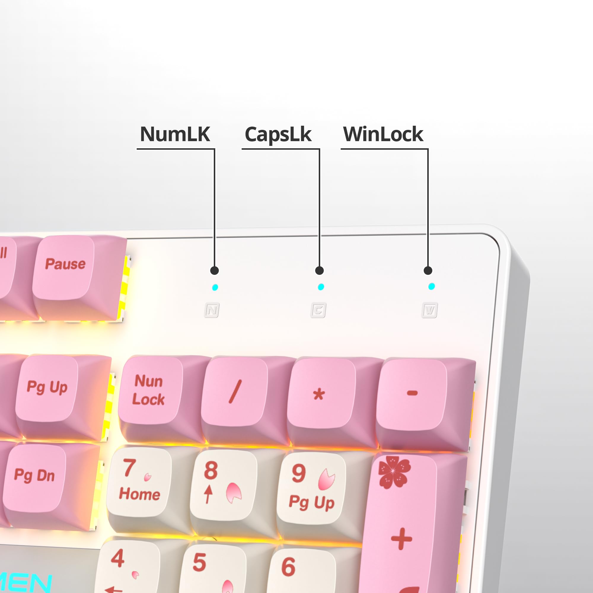 Amazon.com: surmen Full Size Pink Keyboard with Number Pad