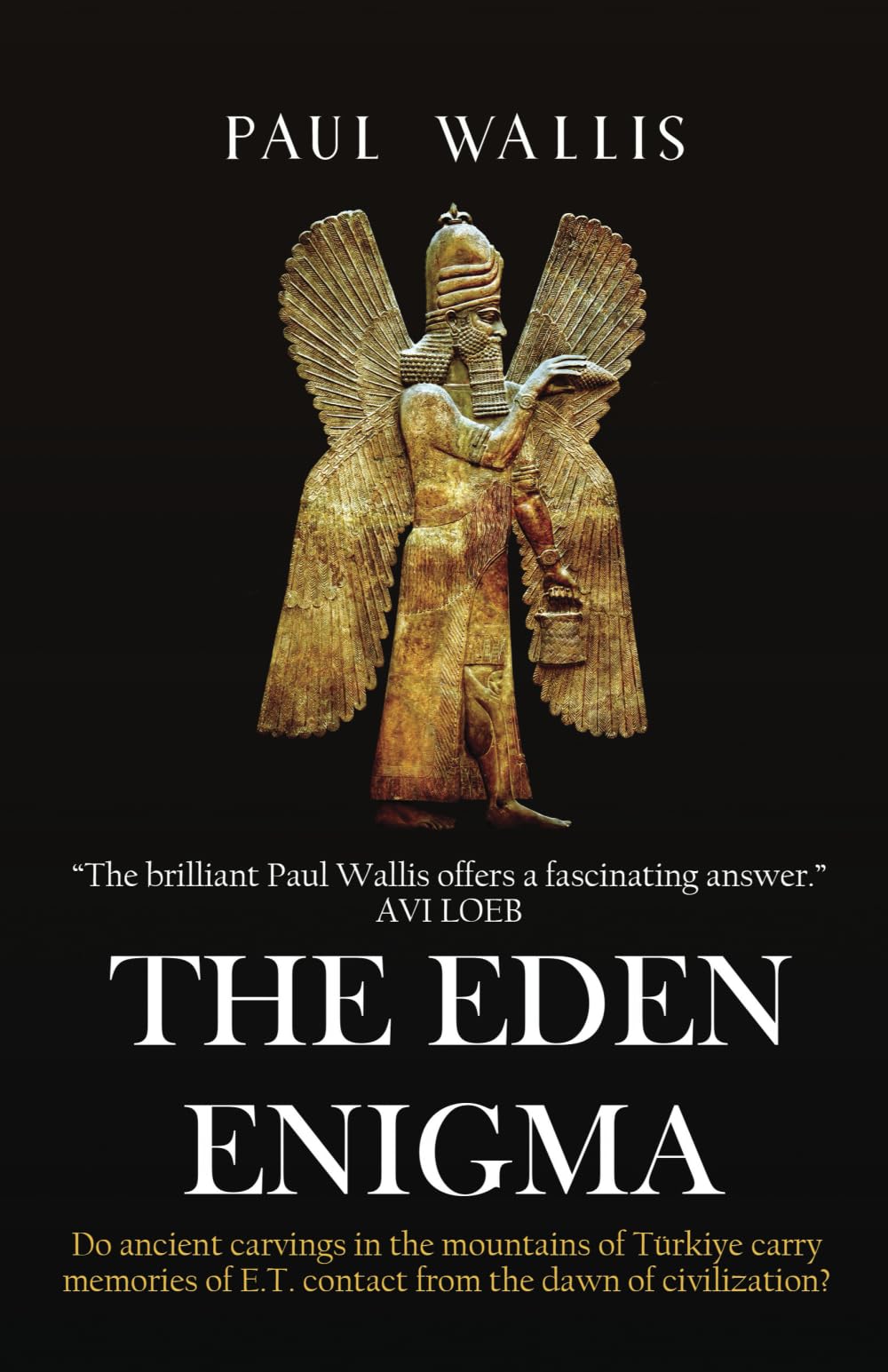 THE EDEN ENIGMA: Do ancient carvings in the mountains of Turkiye carry memories of E.T. contact from the dawn of civilization?