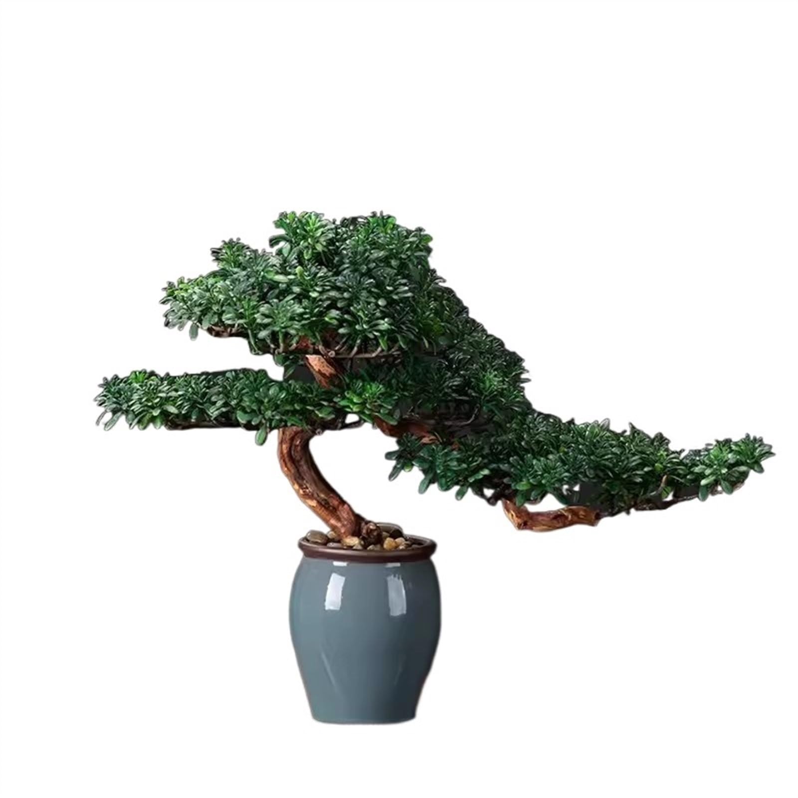 Simulation de fausse plante bonsaï haut de gamme TUSUOD, décoration style chinois