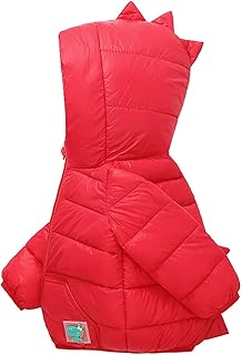 Lykmera Casaco com capuz de dinossauro para bebês meninas meninos crianças crianças inverno quente sólido dinossauro algodão acolchoado casacos agasalhos (A, 12-18 meses)
