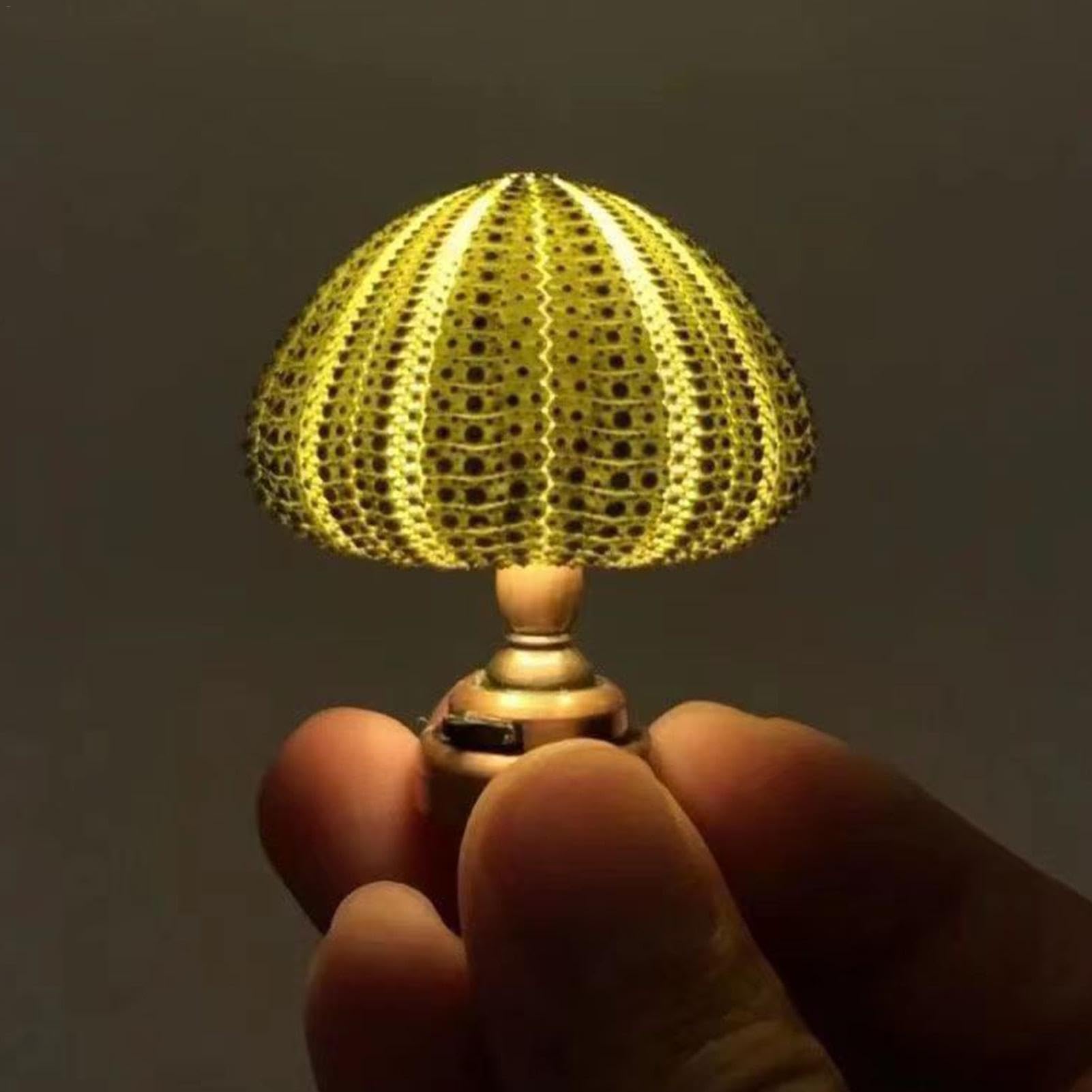 Mini DIY Sea Urchin Night Light -Sea Urchin Shell Animal Table Lamp, Cute Fingertip Beach Themed for Desktop Ornament Children's Room, MKW5T0LQNPQT9I2MMS1