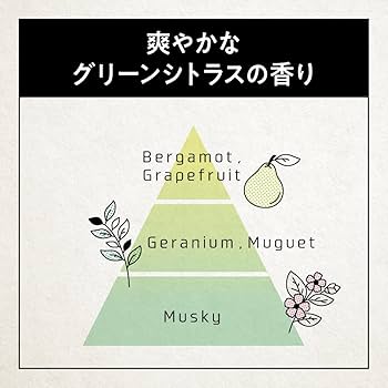 サクセス24 クレンジング シャンプー コンディショナー 　グリーンシトラス Amazon | 【まとめ買い】サクセ ス24 クレンジングシャンプー +