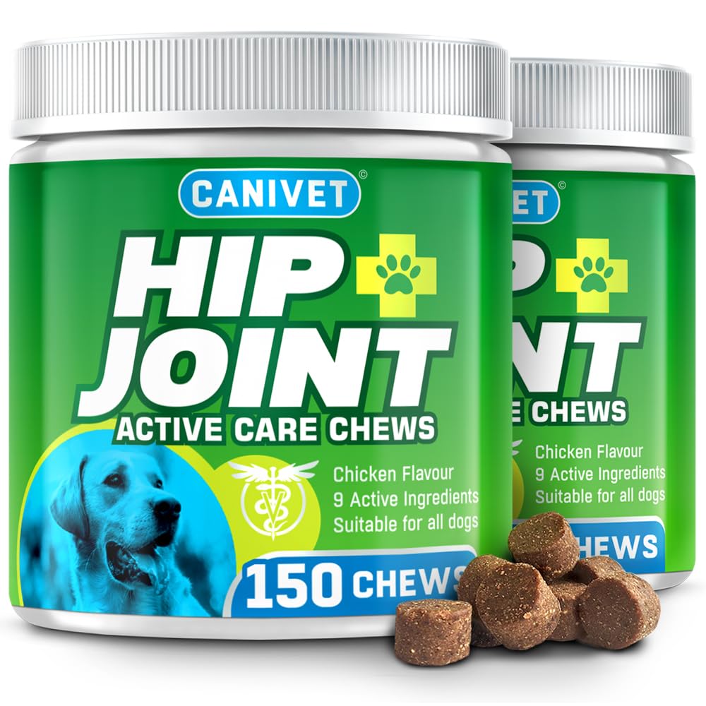 CANIVET Hip and Joint Chews for Dogs - 2 Pack | Green Lipped Mussel, High Strength Glucosamine, Chondroitin & Hyaluronic Acid | Premium Joint Supplements for Dogs & Senior Dogs | 300 Tasty Chews